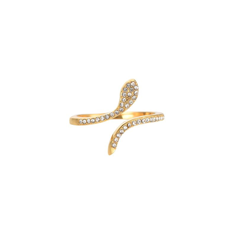 anillo alma